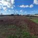 Terreno Edificabile in vendita a Ugento - 05, IMG_20221108_104612.jpg
