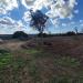 Terreno Edificabile in vendita a Ugento - 06, IMG_20221108_104623.jpg