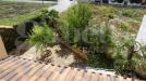 Casa indipendente in vendita con giardino a Ugento - 02, ugento gabetti franchising agency vendita indipend