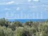Appartamento in vendita a Racale - 08, INDIPENDENTE CON AMPIO GIARDINO A TORRE SUDA RACAL
