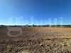 Terreno Agricolo in vendita a Ugento - 10, WhatsApp Image 2025-11-14 at 13.07.45(12).jpeg