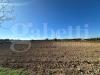 Terreno Agricolo in vendita a Ugento - 03, WhatsApp Image 2025-11-14 at 13.07.44(13).jpeg