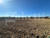 Terreno Agricolo in vendita a Ugento - 05, WhatsApp Image 2025-11-14 at 13.07.44(15).jpeg