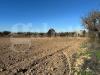Terreno Agricolo in vendita a Ugento - 07, WhatsApp Image 2025-11-14 at 13.07.45(10).jpeg