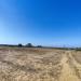 Terreno Agricolo in vendita a Alezio - 06, IMG_20260911_101819.jpg