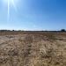 Terreno Agricolo in vendita a Alezio - 08, IMG_20260911_101842.jpg