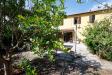 Casa indipendente in vendita con giardino a Fauglia - 02