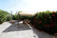 Casa indipendente in vendita con giardino a Fauglia - 06