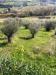 Rustico in vendita da ristrutturare a Massignano - 03, Foto 3