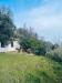 Casa indipendente in vendita a Cupra Marittima - 05, Foto 5