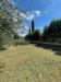 Casa indipendente in vendita a Massignano - 05, Foto 5