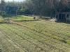 Terreno Agricolo in vendita a San Benedetto del Tronto - 05, Foto 5