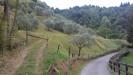 Terreno in vendita nuovo a Sulzano in via ruchena sulzano - 09, accesso