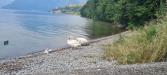 Appartamento monolocale in vendita con terrazzo a Monte Isola - 03, lago