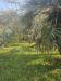 Villa in vendita con giardino a Sale Marasino in sale marasino via pozzacher - 07