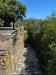 Casa indipendente in vendita con giardino a Castiglione della Pescaia - 03