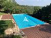 Attivit� commerciale in vendita a San Giovanni Lupatoto - 02