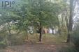 Rustico in vendita con giardino a Montechiaro d'Acqui - 10, Foto 10