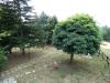 Casa indipendente in vendita con giardino a Piana Crixia in localit pra di cu - 05, vista giuardino