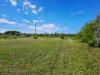 Terreno Agricolo in vendita a Cascina - 02