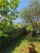 Appartamento in vendita con giardino a Massa - ronchi - 05