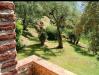 Rustico in vendita con giardino a Camaiore - 05