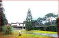 Villa in vendita con giardino a Massa - poveromo - 02