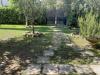Loft in affitto arredato a Camaiore - lido di - 02