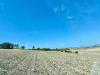 Terreno Agricolo in vendita a Lucera in localita' san giusto - 02, Foto 2