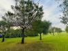 Terreno Agricolo in vendita a Lucera - 06, Foto 6
