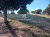 Terreno Agricolo in vendita a Sutri in via delle cicogne - 03, Foto 3