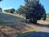 Terreno Agricolo in vendita a Sutri in via delle cicogne - 04, Foto 4
