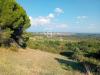 Terreno Agricolo in vendita a Sutri in via delle cicogne - 05, Foto 5