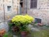 Appartamento in vendita con giardino a Sutri in via roma 9 - 05, Foto 5