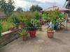 Villa in vendita con giardino a Fabrica di Roma in via dei tirreni 54 - 04, Foto 4
