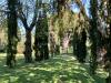 Villa in vendita con giardino a Bassano Romano in strada di fonte capoccia 5 - 10, Foto 10