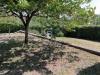 Villa in vendita con giardino a Sutri in via delle ginestre 9 - 05, Foto 5