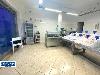 Locale commerciale in affitto a Roma in via attilio profumo - 04, Foto 4