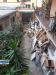 Appartamento in vendita a Treviglio in via dei facchetti - 06, Foto 6