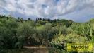 Casa indipendente in vendita con giardino a Montopoli in Val d'Arno - 02