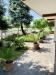 Casa indipendente in vendita con giardino a Agugliaro - 08, 7.jpeg