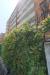 Appartamento in vendita con box a Busto Arsizio - 10, J87A1253.JPG