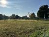 Terreno Edificabile in vendita a Montagnana - 07, image00005.jpeg