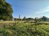 Terreno Edificabile in vendita a Montagnana - 08, image00006.jpeg