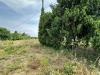 Rustico in vendita con giardino a Ospedaletto Euganeo - 08, image00006.jpeg