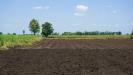 Terreno Agricolo in vendita a Montagnana - 03, image00076.jpeg