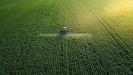 Terreno Agricolo in vendita a Montagnana - 04, image00077.jpeg