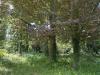 Villa in vendita a Velletri - 09, IMG-20250521-WA0008.jpg