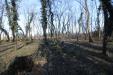 Terreno Agricolo in vendita a Legnano - 03, IMG_6661.JPG