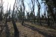 Terreno Agricolo in vendita a Legnano - 04, IMG_6663.JPG